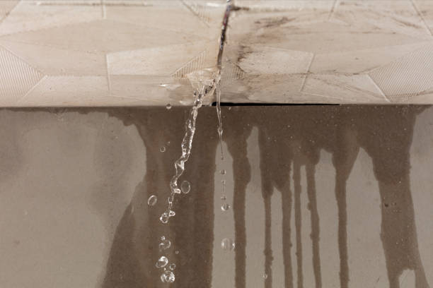 Professional Burst Pipe Cleanup technician working in Mexico, IN